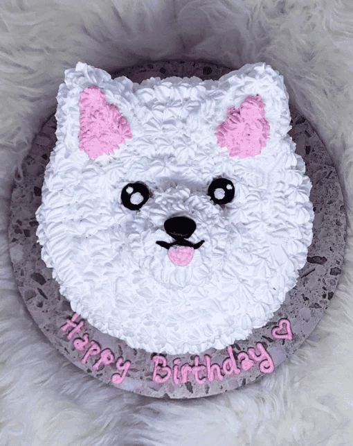 Pomeranian Dog Face Cake For Pet Birthday | CakeNBake Noida